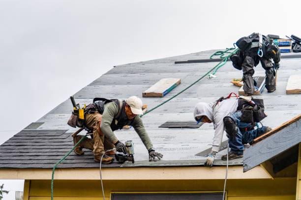 Professional Roofing technician working in Coaldale, PA
